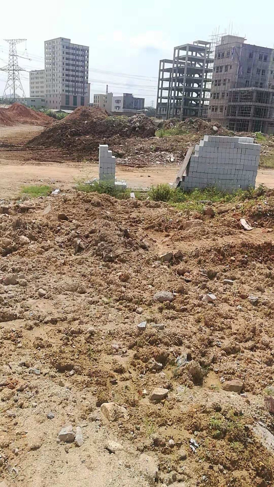 沣满的媳妇努努