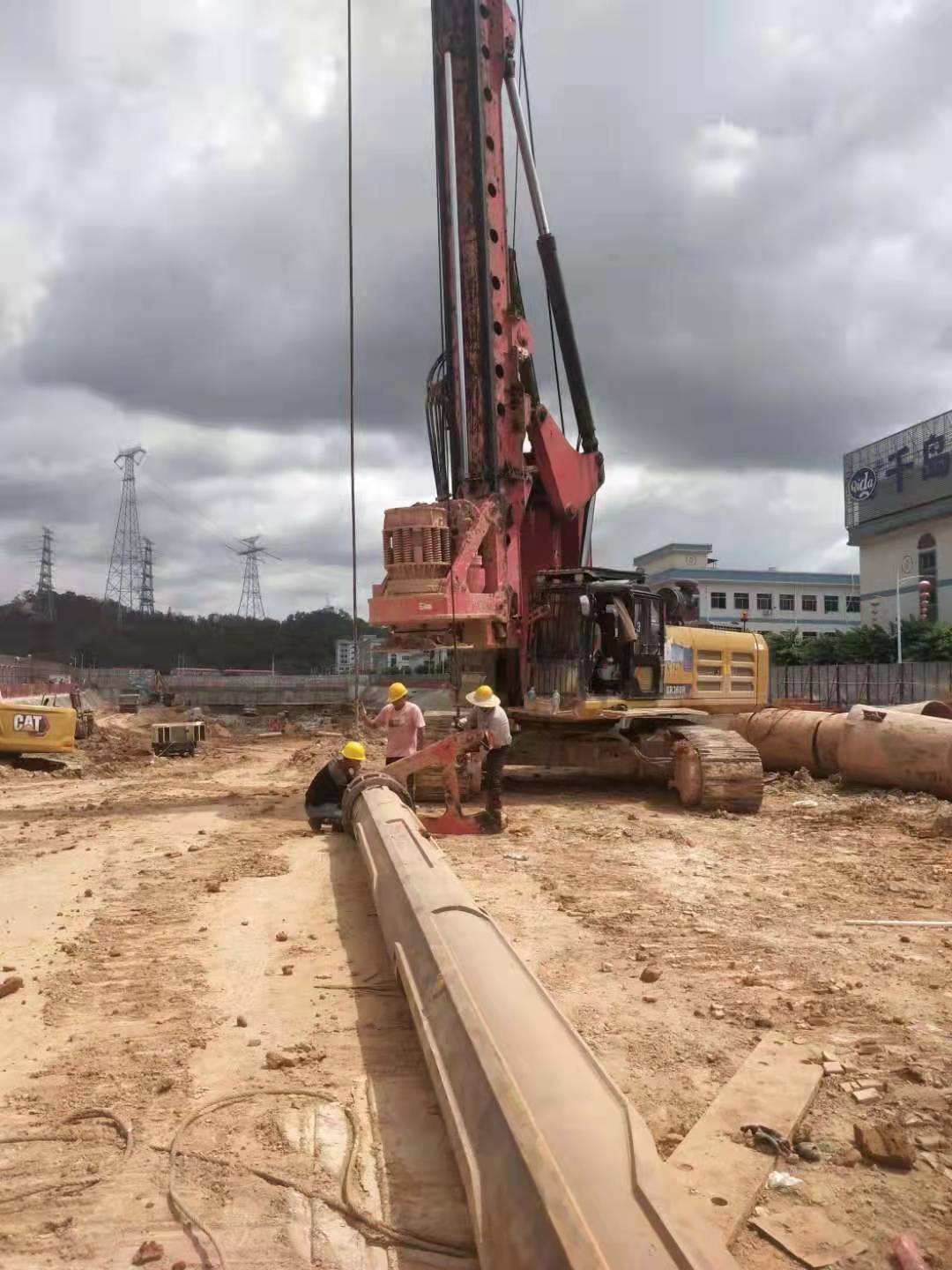 嫩叶草2024地扯一二无忧版