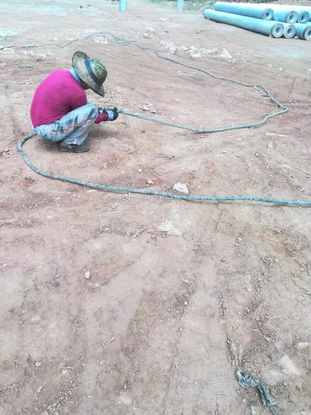 大象永久伊在人线观看
