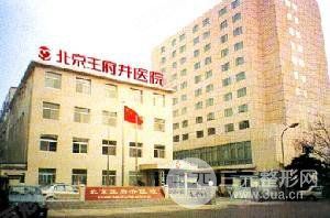 麻花传媒ceo免费观看电影