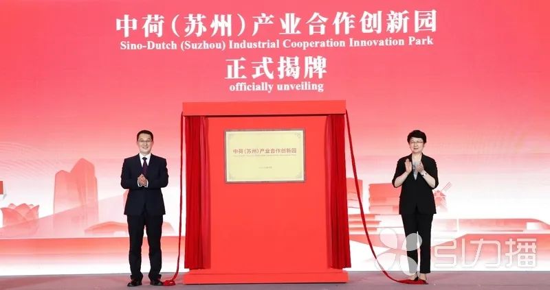 一本道a无线码六区v