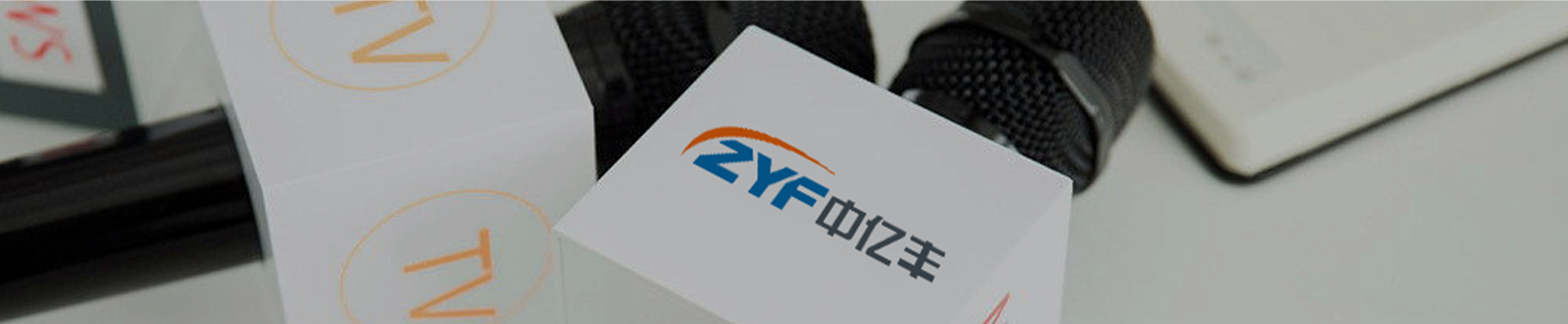苏语棠换母闹元宵